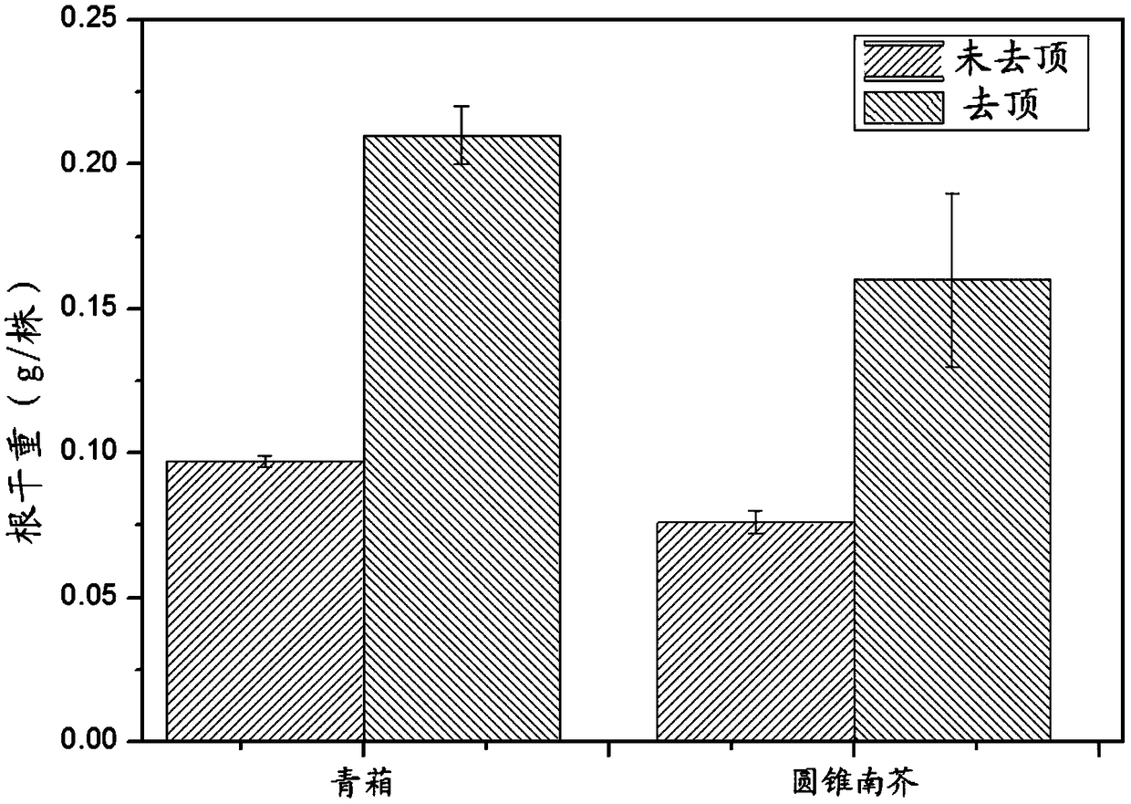 Phytoremediation method for treating cadmium, manganese and chromium compound polluted soil
