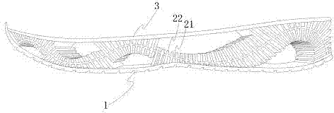 Spine-supporting shock absorption shoe sole and shoe with same