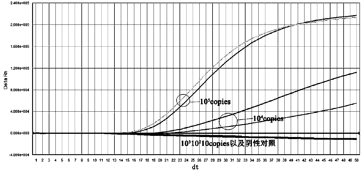 Human cytomegalovirus real-time fluorescent nucleic acid constant temperature amplification detection kit