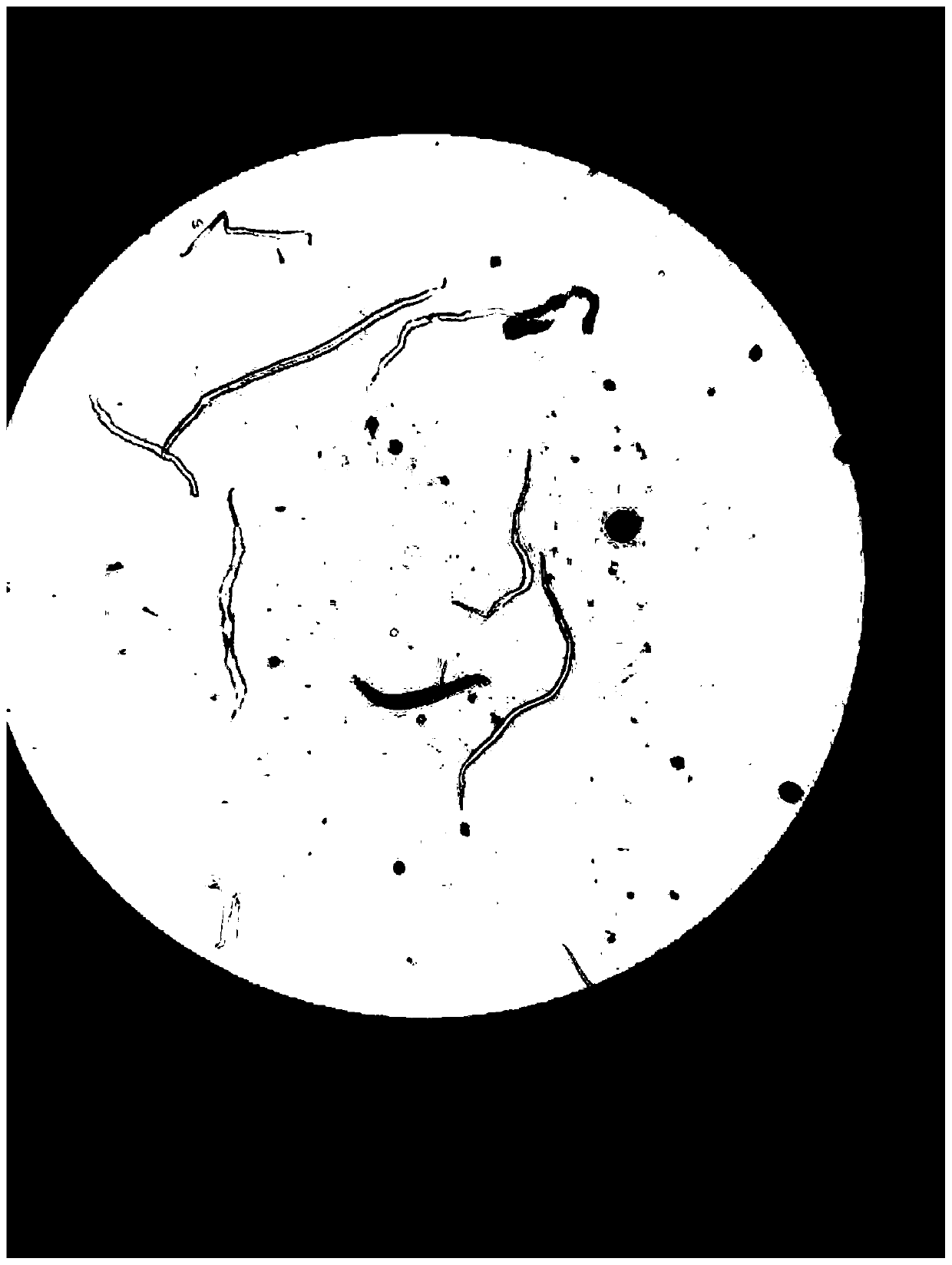 Alkali adding-based waste rubber processing method and system