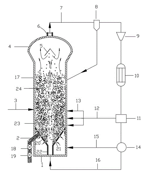 Spouted fluidized bed reactor and polymer preparation method