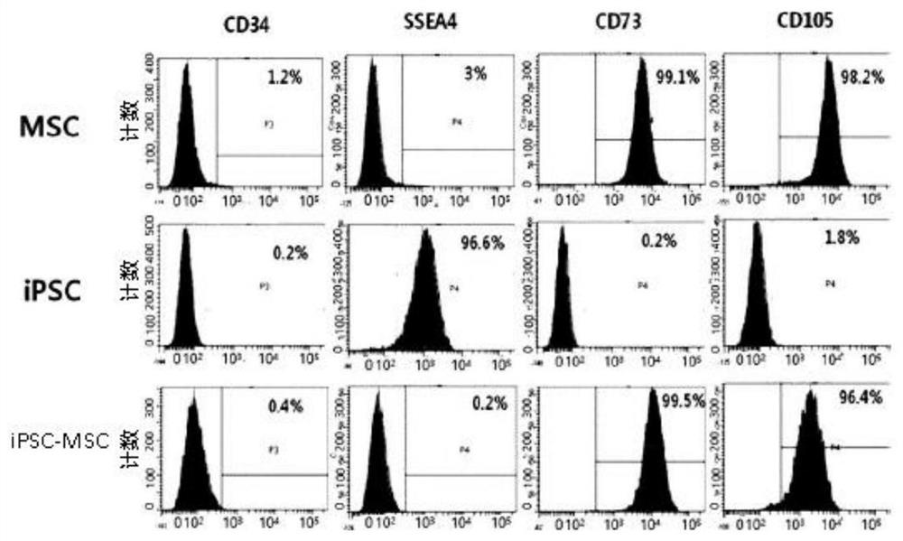 Composition for improving, preventing or treating skin diseases comprising induced pluripotent stem cell-derived mesenchymal stem cell and exosome derived therefrom