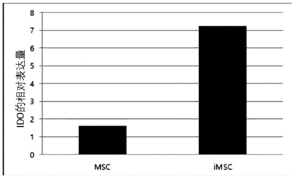 Composition for improving, preventing or treating skin diseases comprising induced pluripotent stem cell-derived mesenchymal stem cell and exosome derived therefrom