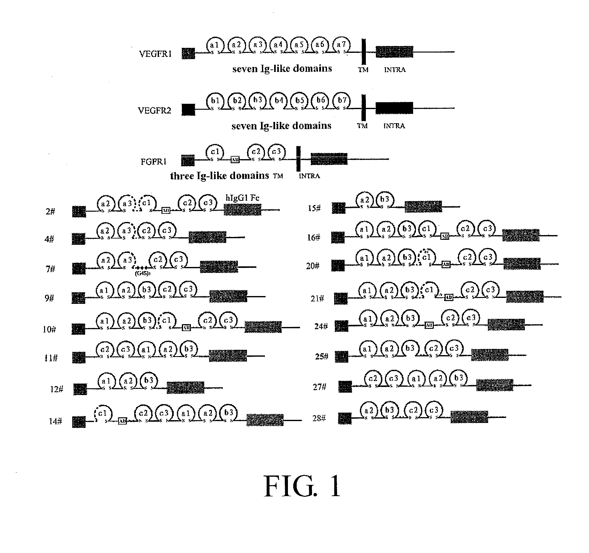 Fusion protein for antagonizing angiogenesis inducible factors and uses thereof