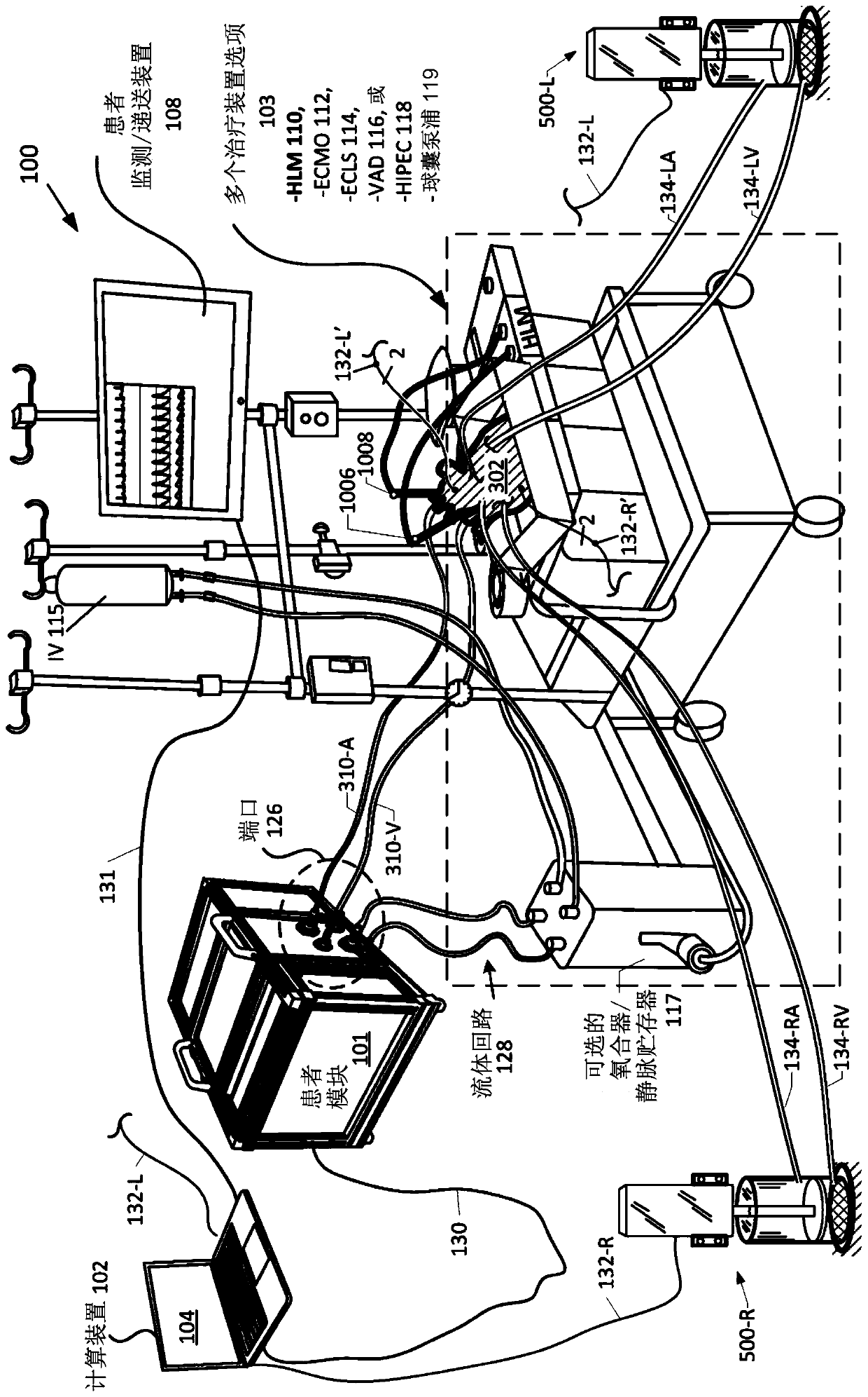 Heart simulation system for medical services or diagnostic machines