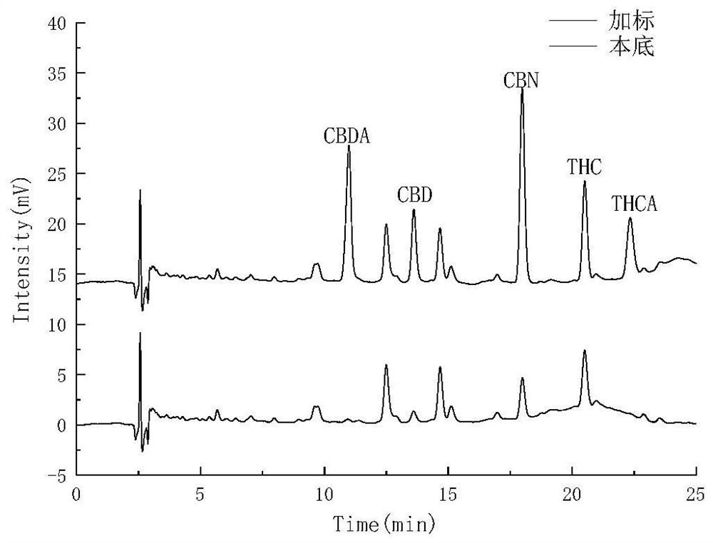 Method for detecting five cannabinol compounds in cannabis oil by utilizing HPLC method