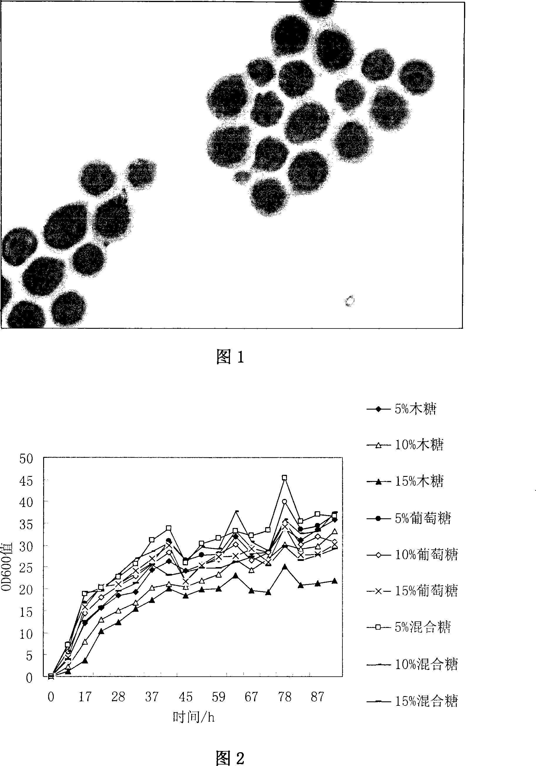 Recombinant saccharomyces cerevisiae for producing ethanol by using xylose and glucose