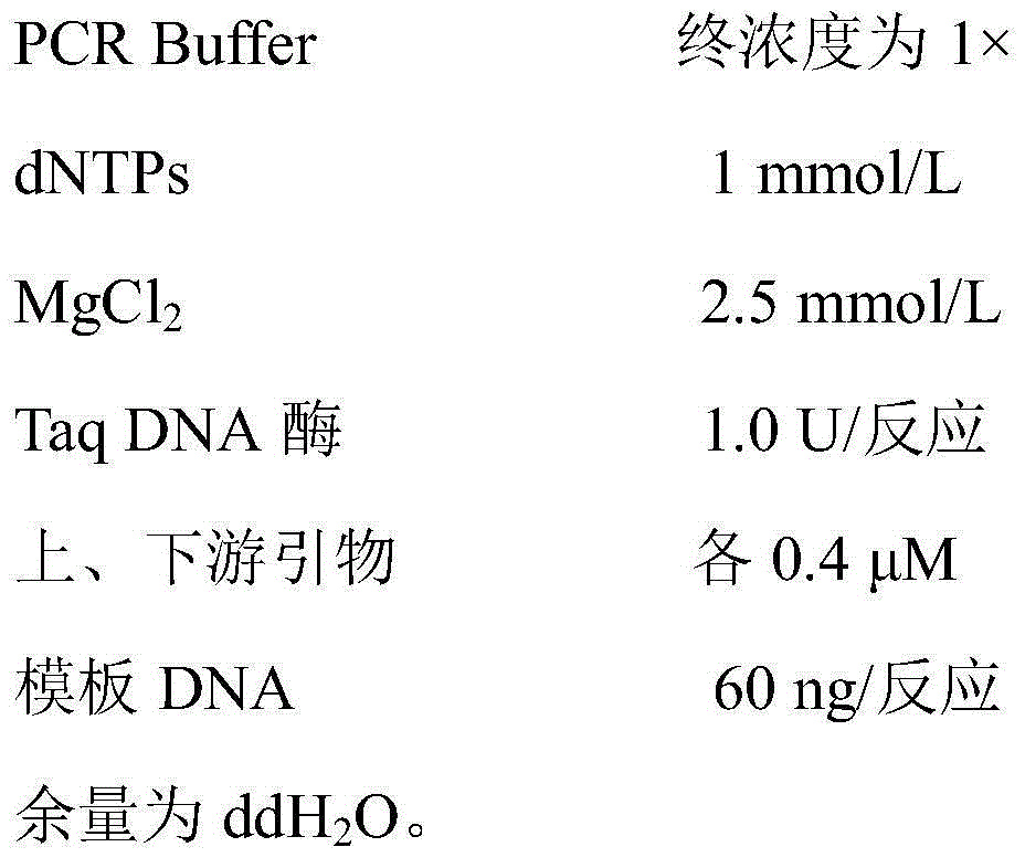 Molecularly specific labeling primers of sakura variety 'Hirano Moseu' and detection method thereof