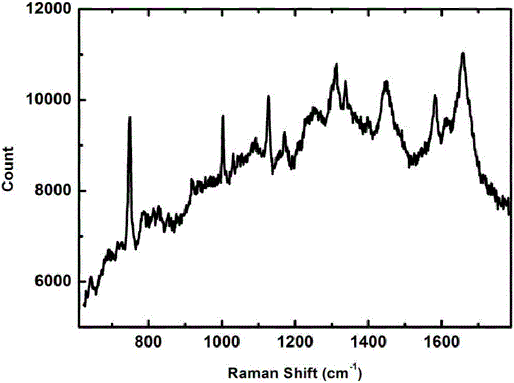 Living single cell Raman spectrum detection chip