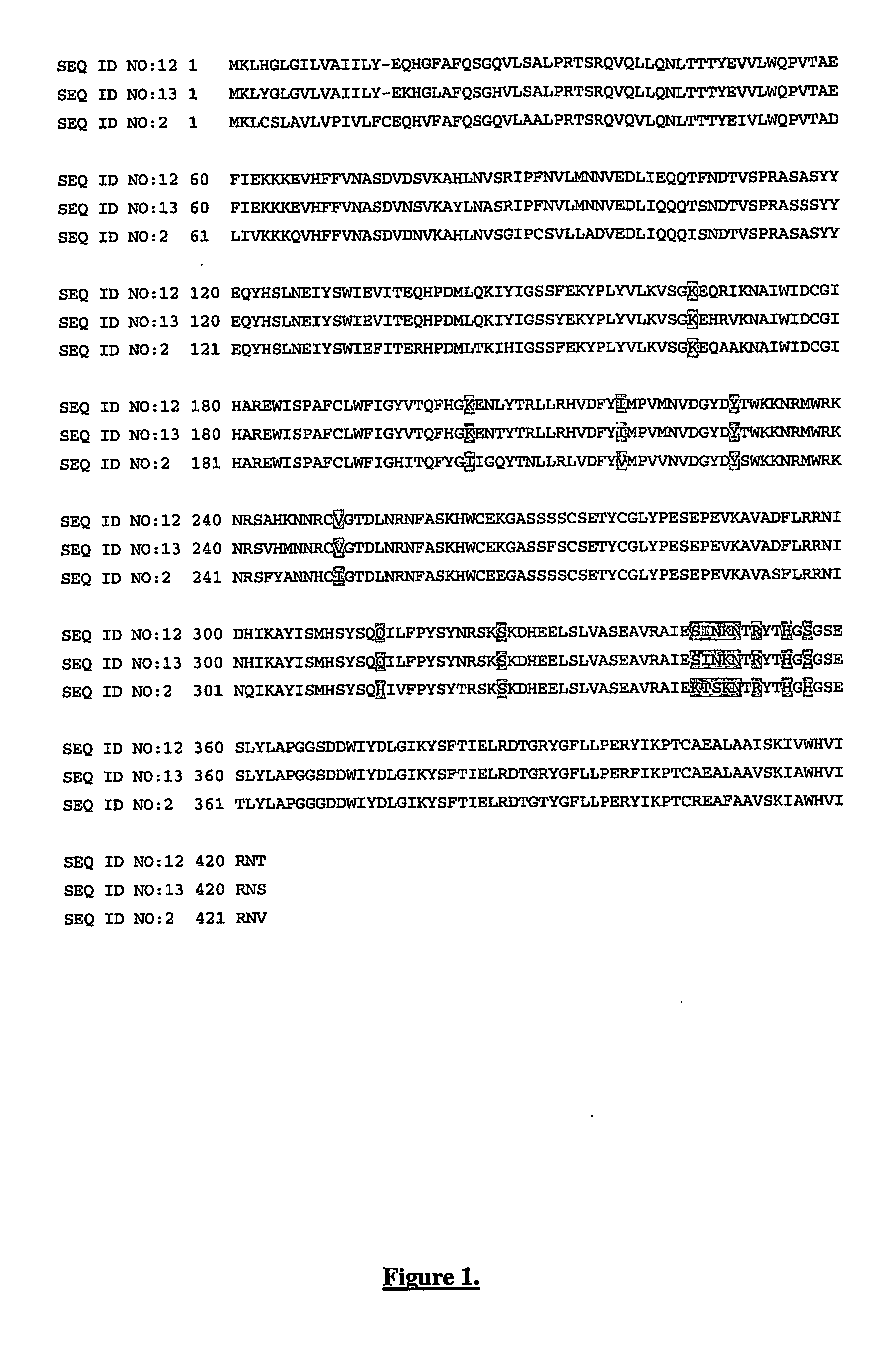 Carboxypertidase U (Cpu) Mutants