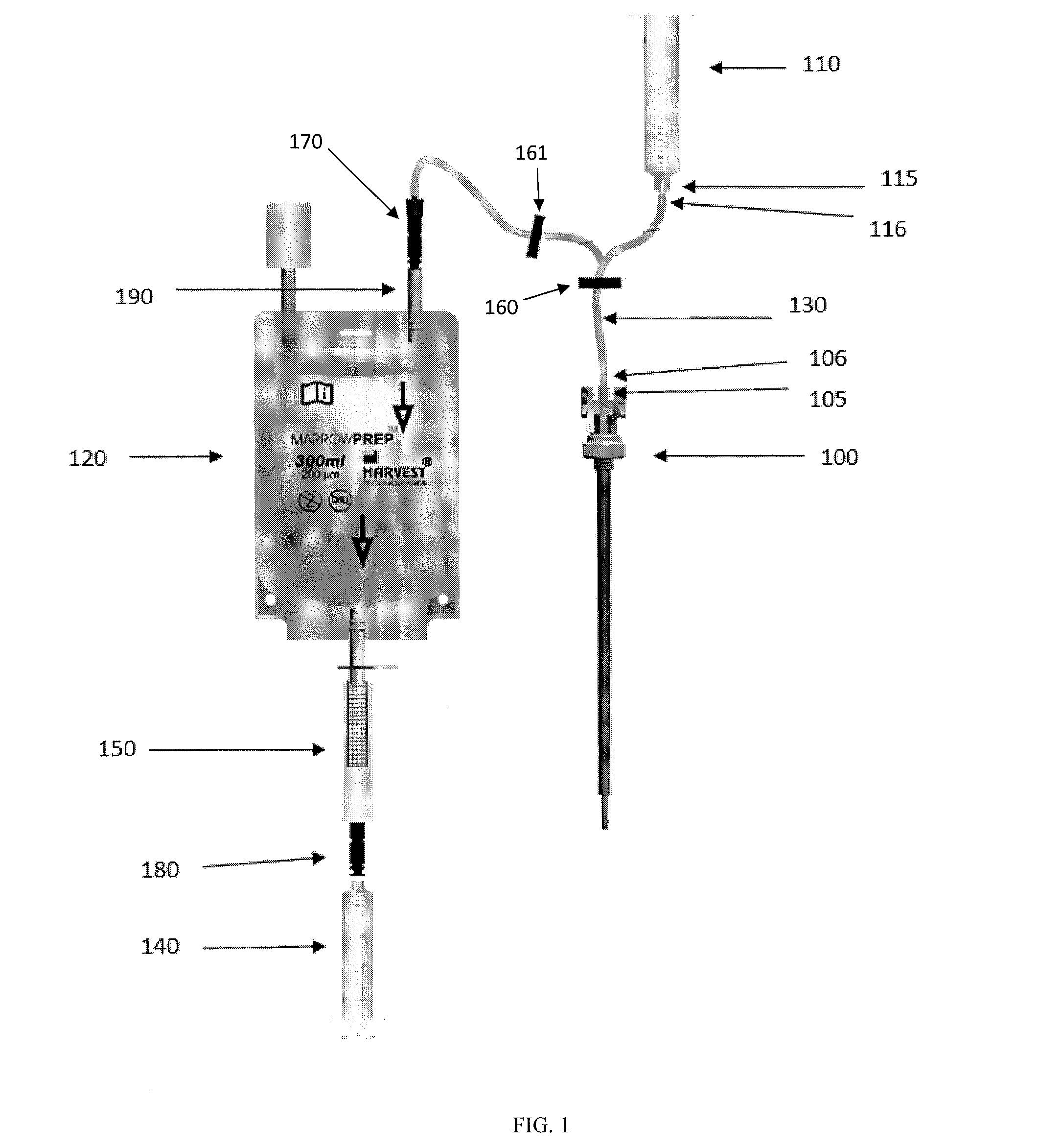 System for collecting and processing bone marrow