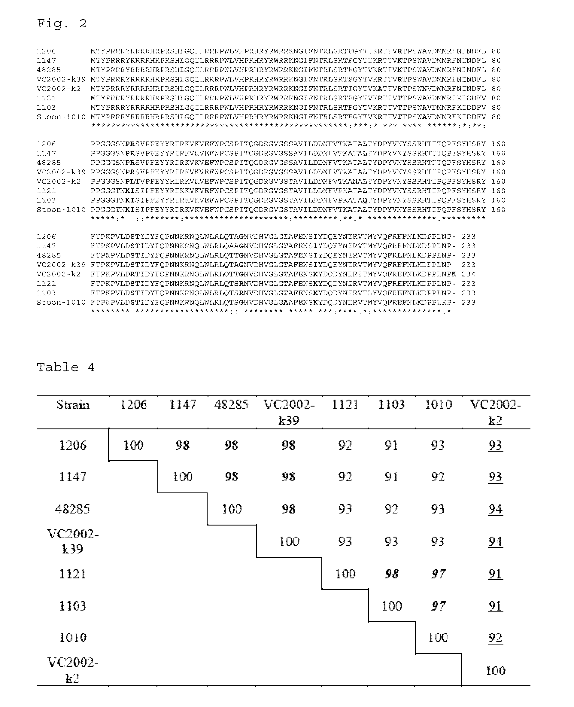 Methods and compositions in the treatment of porcine circoviral infection