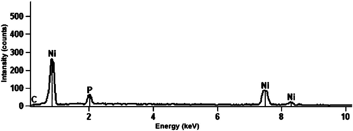 Preparation method of graphene-nickel phosphide composite coating and prepared coating