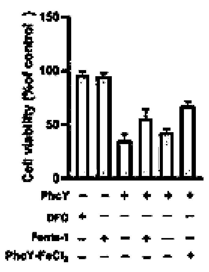 Novel heterocyclic aromatic hydrazone derivative, pharmaceutically acceptable salt, preparation method and application thereof