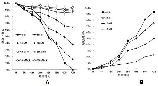 A novel bacillus cereus by1 and its application