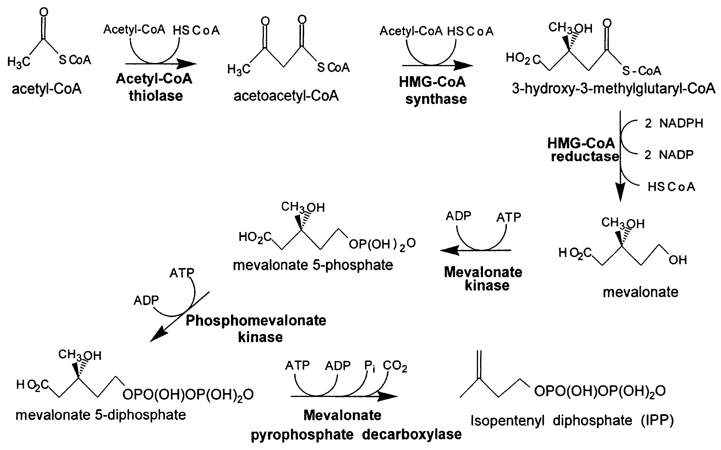 Fuel compositions comprising farnesane and farnesane derivatives and method of making and using same