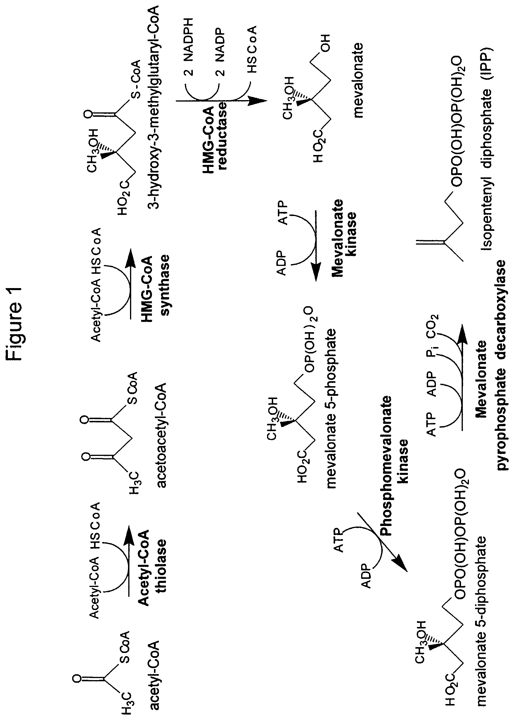 Fuel compositions comprising farnesane and farnesane derivatives and method of making and using same