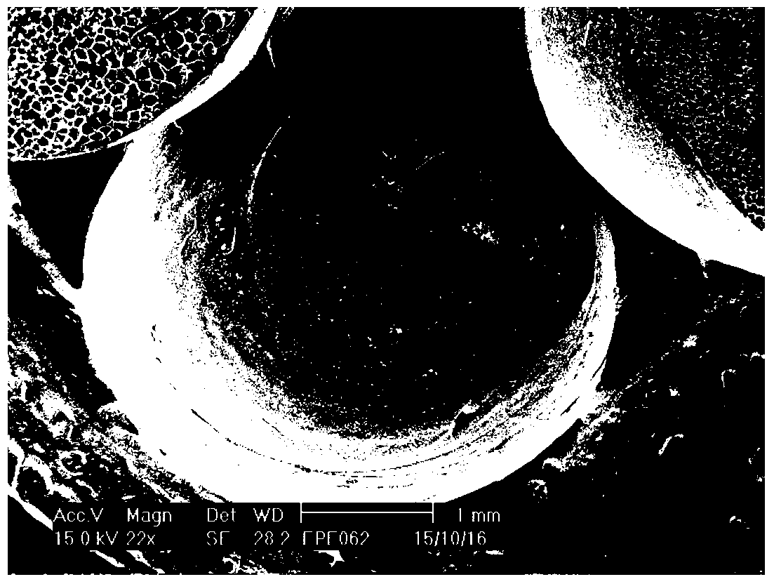 Polyethylene composition and expanded beads, method for producing the same, and expanded bead molding