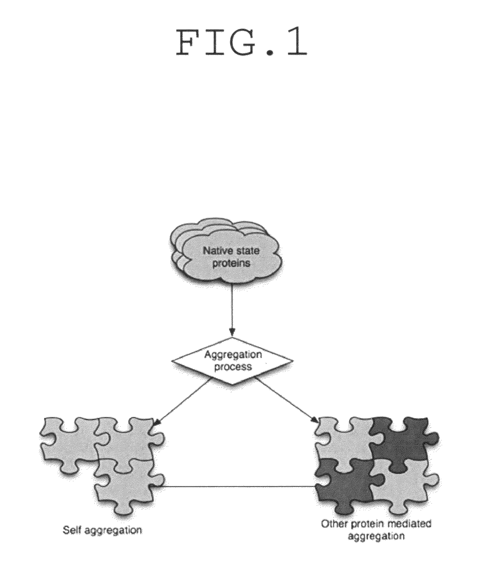 Method for determination of protein, peptide or peptoid aggregation, stability, and viability and system using the same