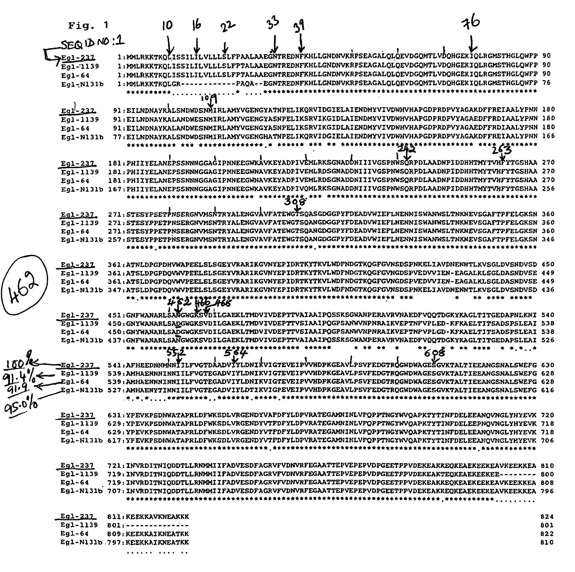 Alkaline cellulase variants