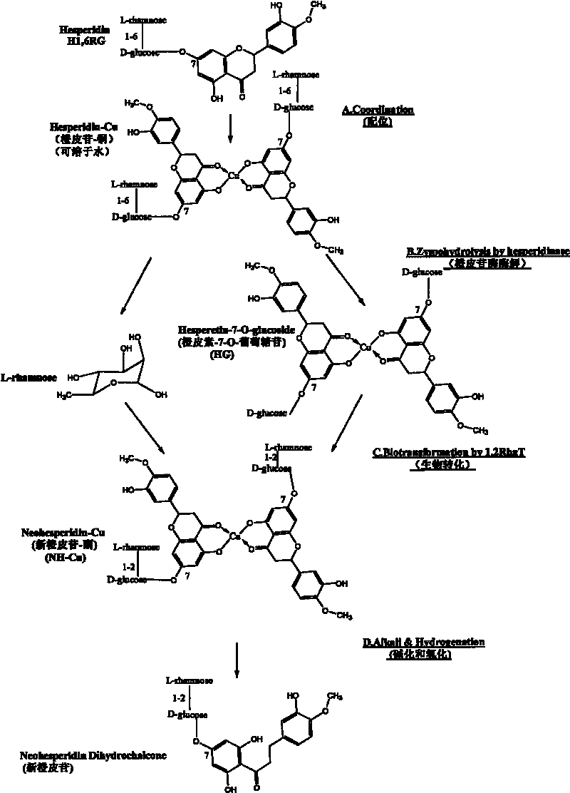 Method for synthesizing new hesperidin through high-flux enzyme process