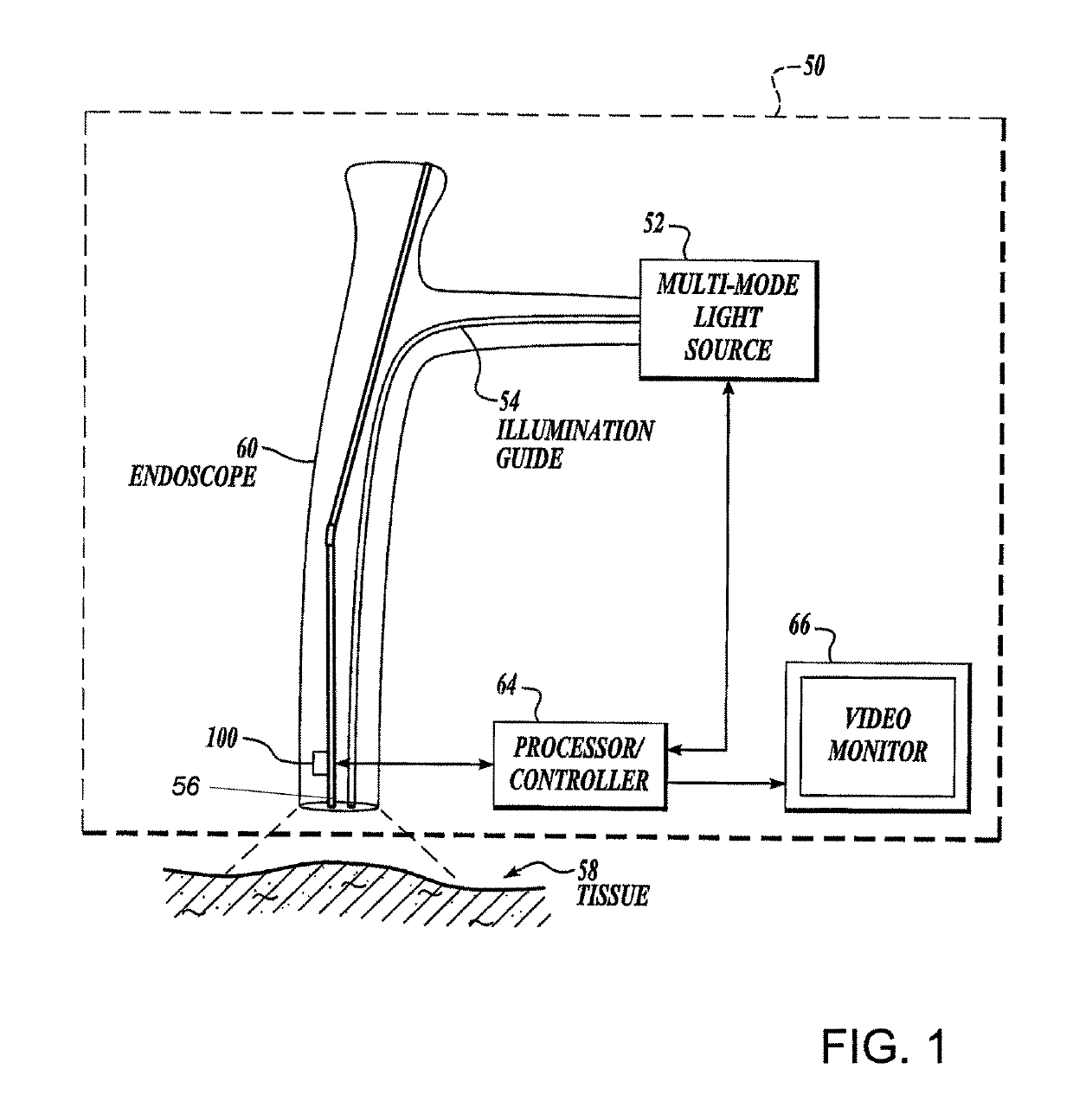 Near infra red fluorescence imaging for visualization of blood vessels during endoscopic harvest