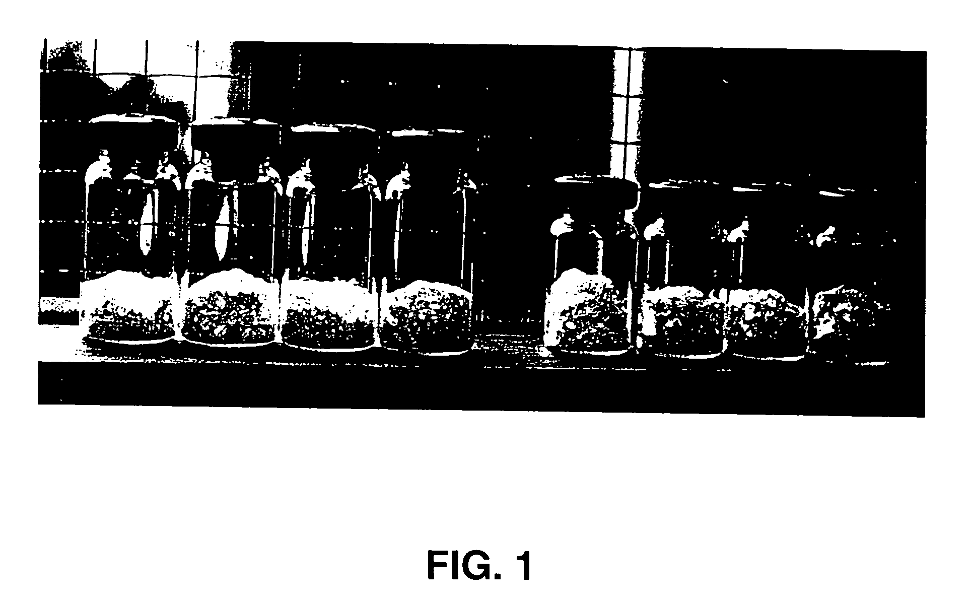 Methods for stably incorporating substances within dry, foamed glass matrices and compositions obtained thereby