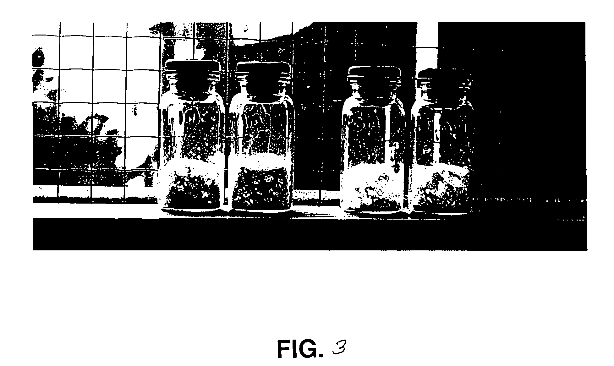 Methods for stably incorporating substances within dry, foamed glass matrices and compositions obtained thereby