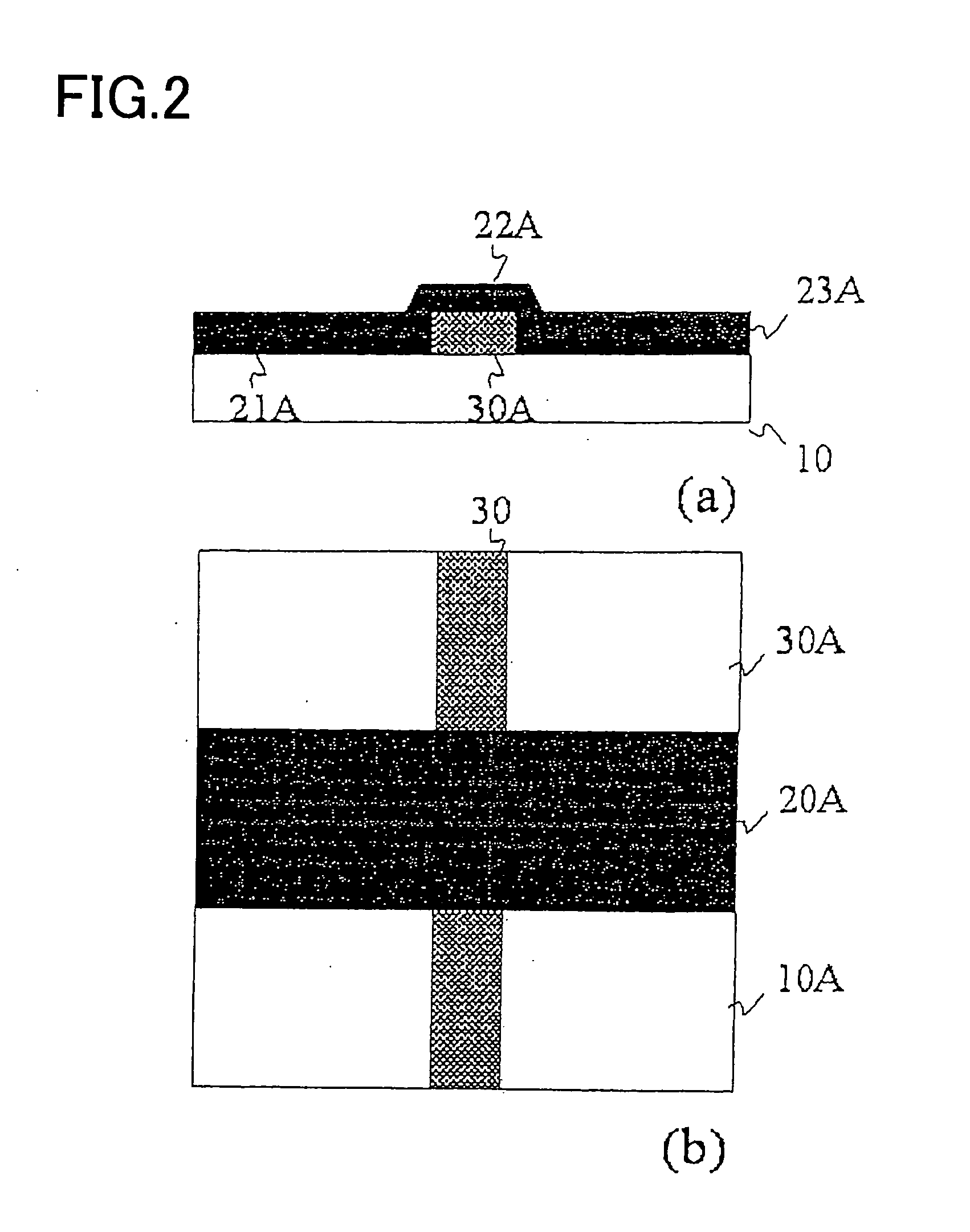 Schottky Gate Organic Field Effect Transistor and Fabrication Method of the Same