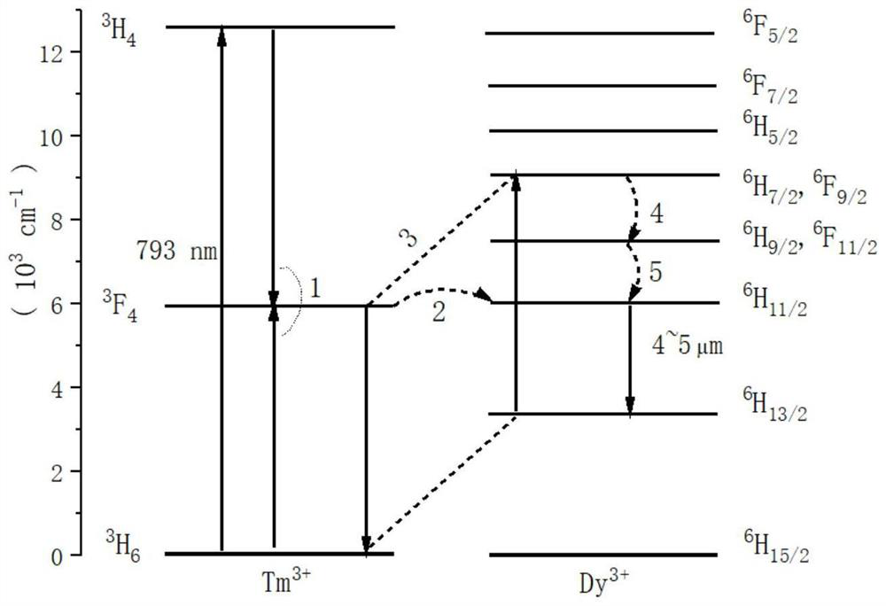 Thulium and dysprosium co-doped bromide mid-infrared laser crystal as well as preparation method and application thereof