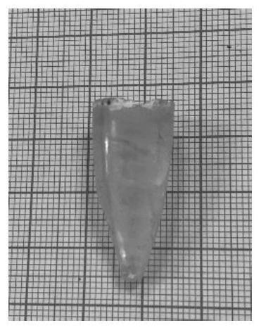 Thulium and dysprosium co-doped bromide mid-infrared laser crystal as well as preparation method and application thereof