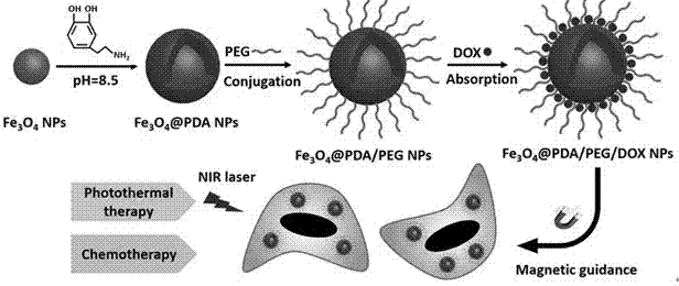 Preparation method of pegylated polydopamine-coated drug-loaded magnetic nanoparticles