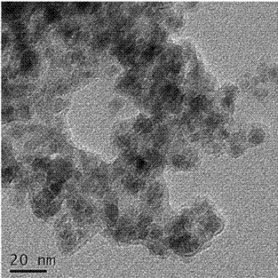 Preparation method of pegylated polydopamine-coated drug-loaded magnetic nanoparticles