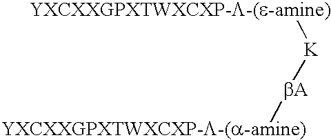 Human EPO mimetic hinge core mimetibodies, compositions, methods and uses