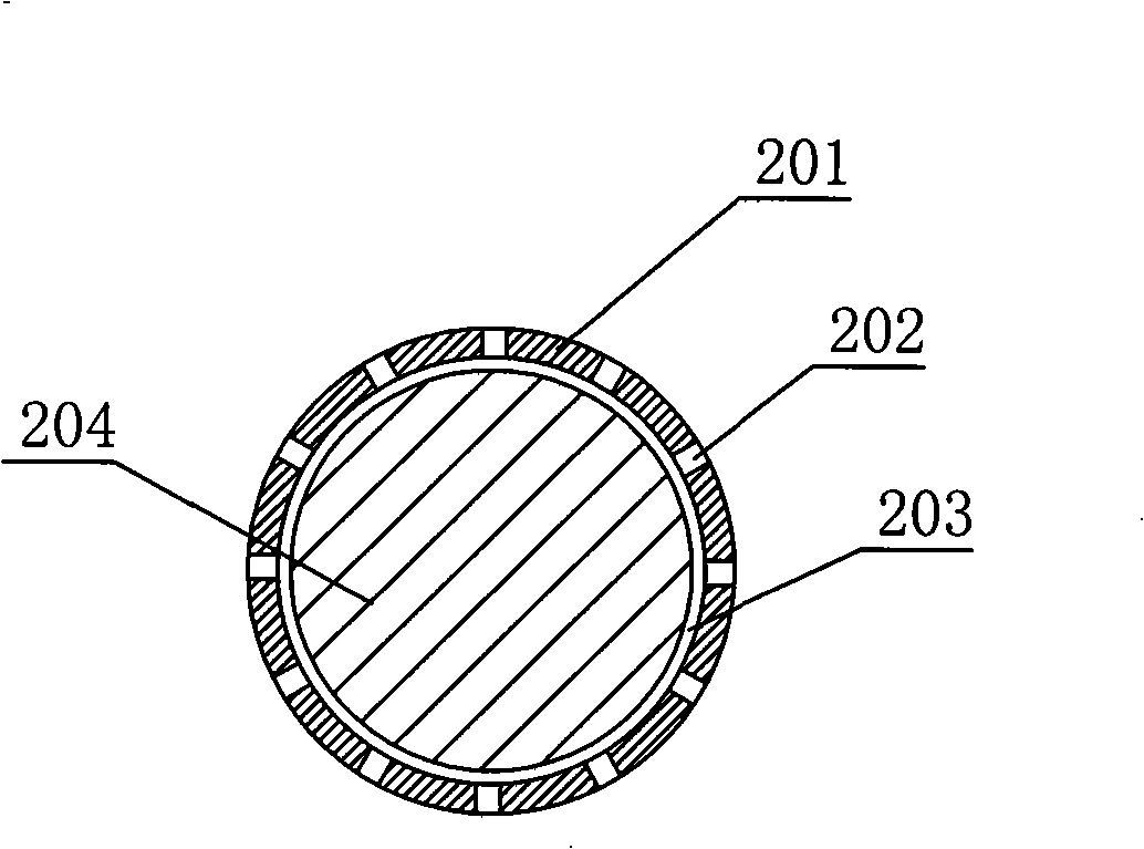 Accumulator electrode with internal particle movable and producing process thereof