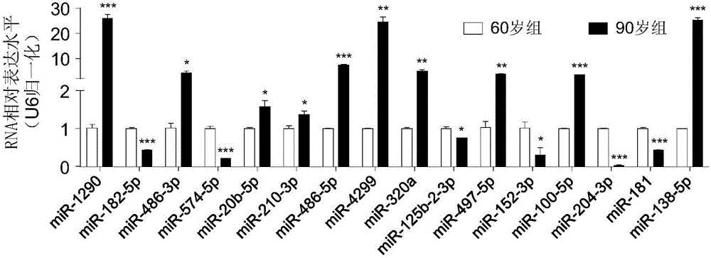 Application of oligonucleotide compound of micro-RNA (ribonucleic acid) associated with senile osteoporosis