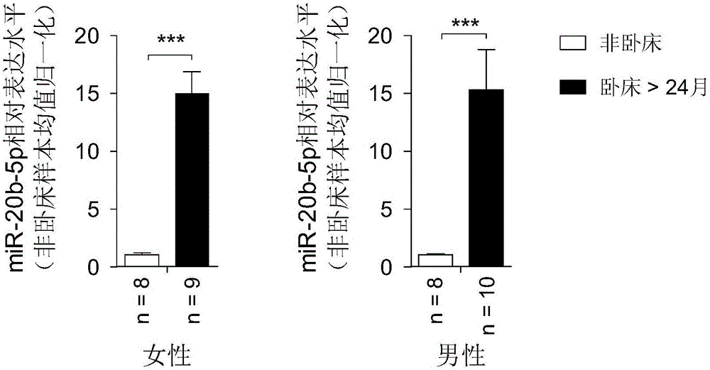 Application of oligonucleotide compound of micro-RNA (ribonucleic acid) associated with senile osteoporosis