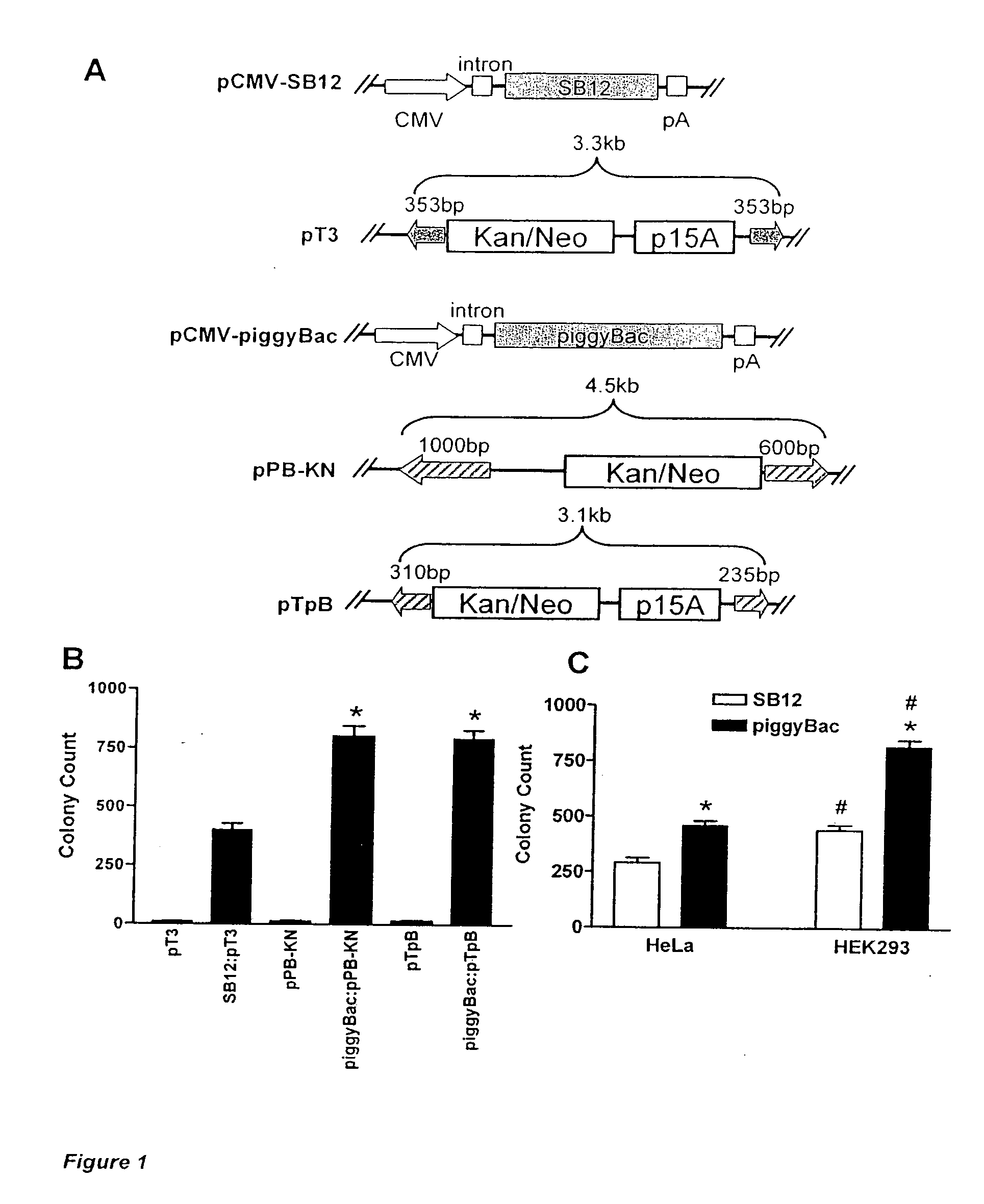 Piggybac transposon-based vectors and methods of nucleic acid integration