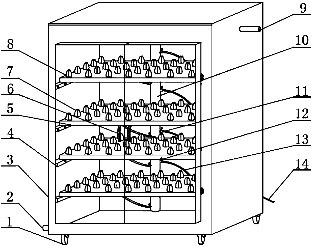 Culture box for rooting of fruit tree branches