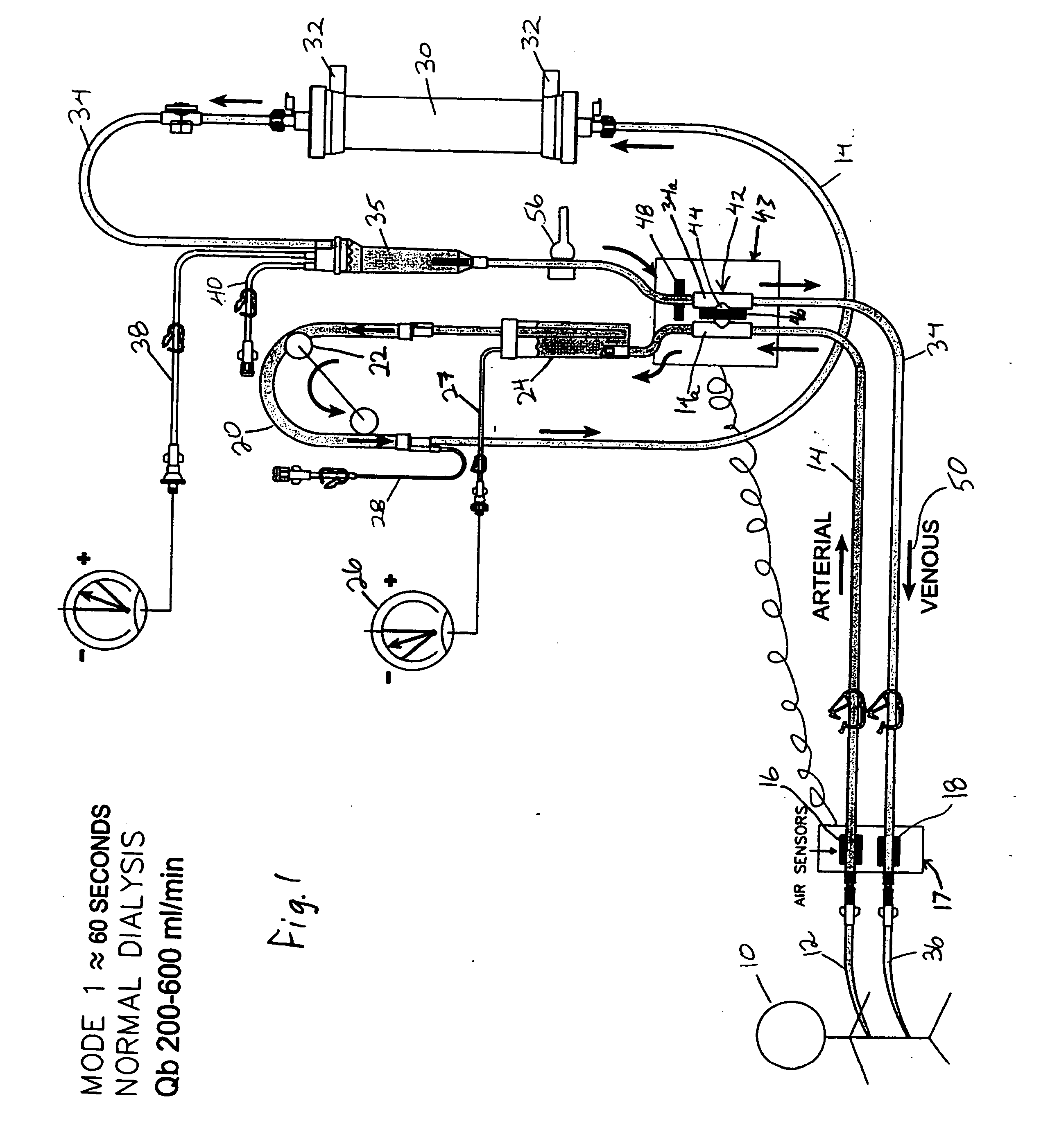 Blood leak monitoring method and apparatus