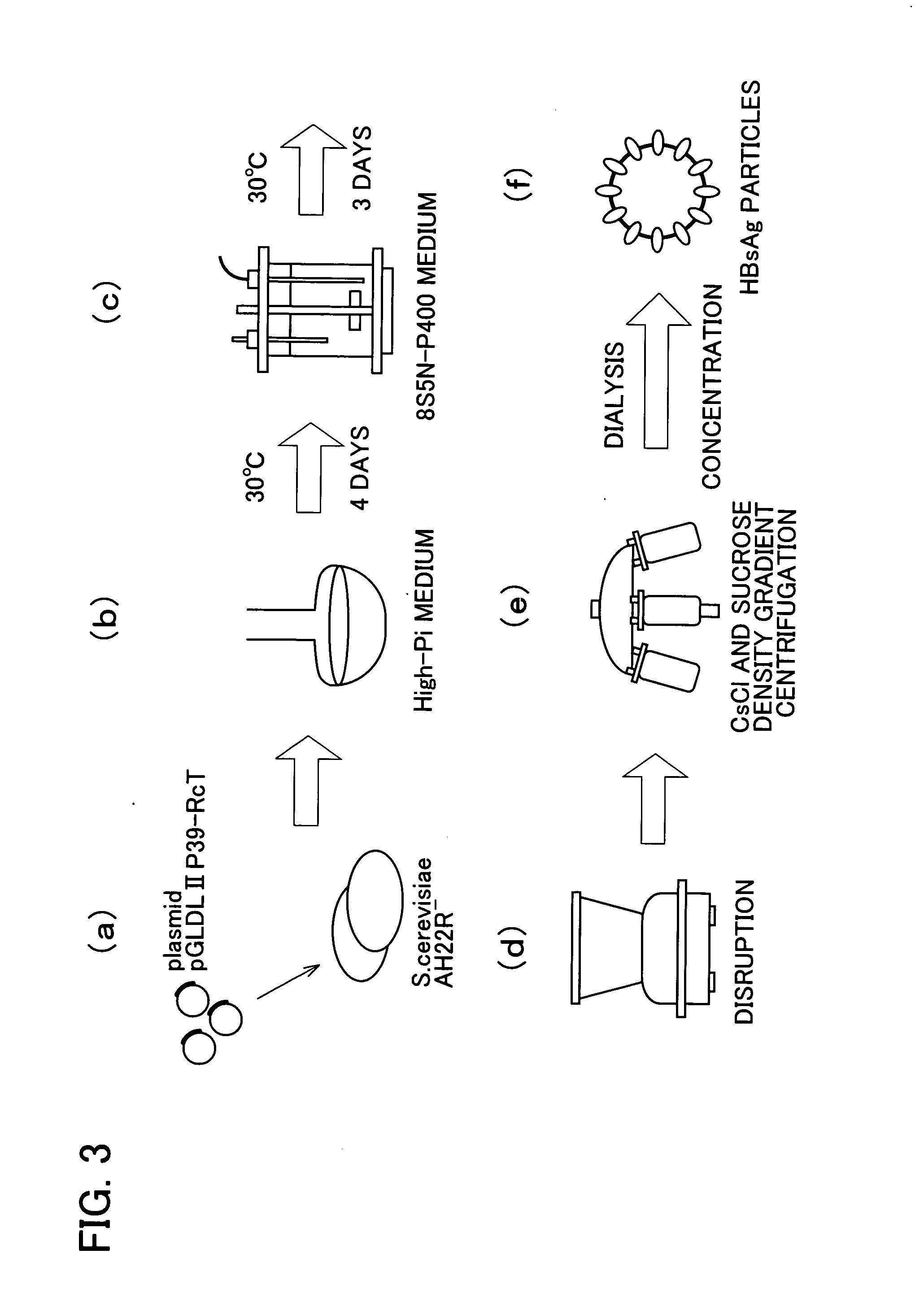 Drugs comprising protein forming hollow nanoparticles and therapeutic substance to be transferred into cells fused therewith