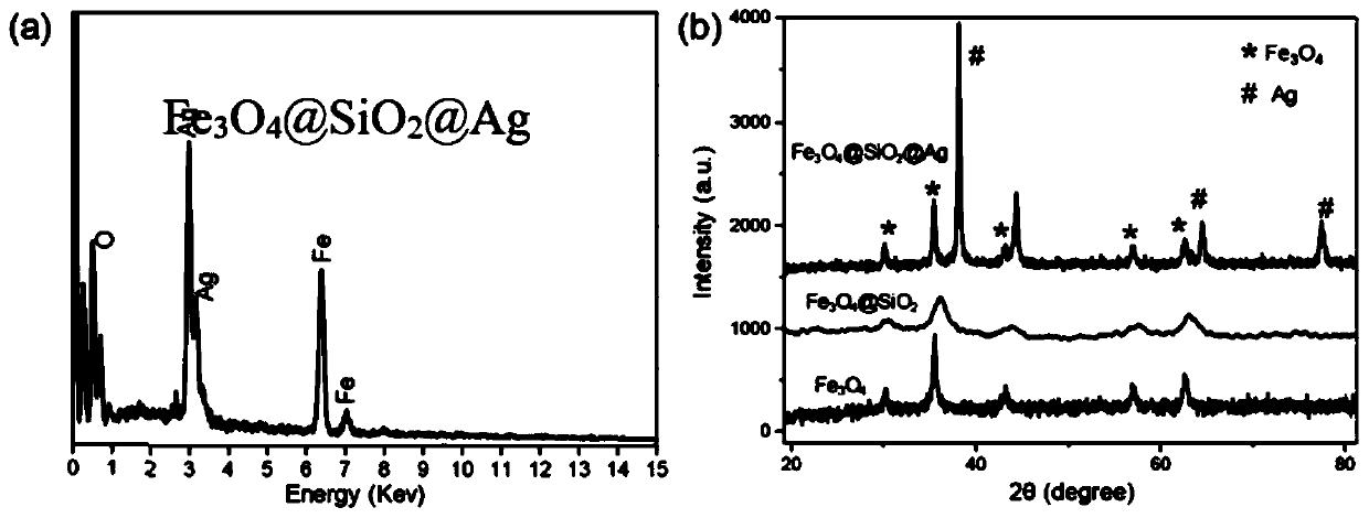 Preparation method of modified magnetic composite nano particles and application thereof in pesticide detection