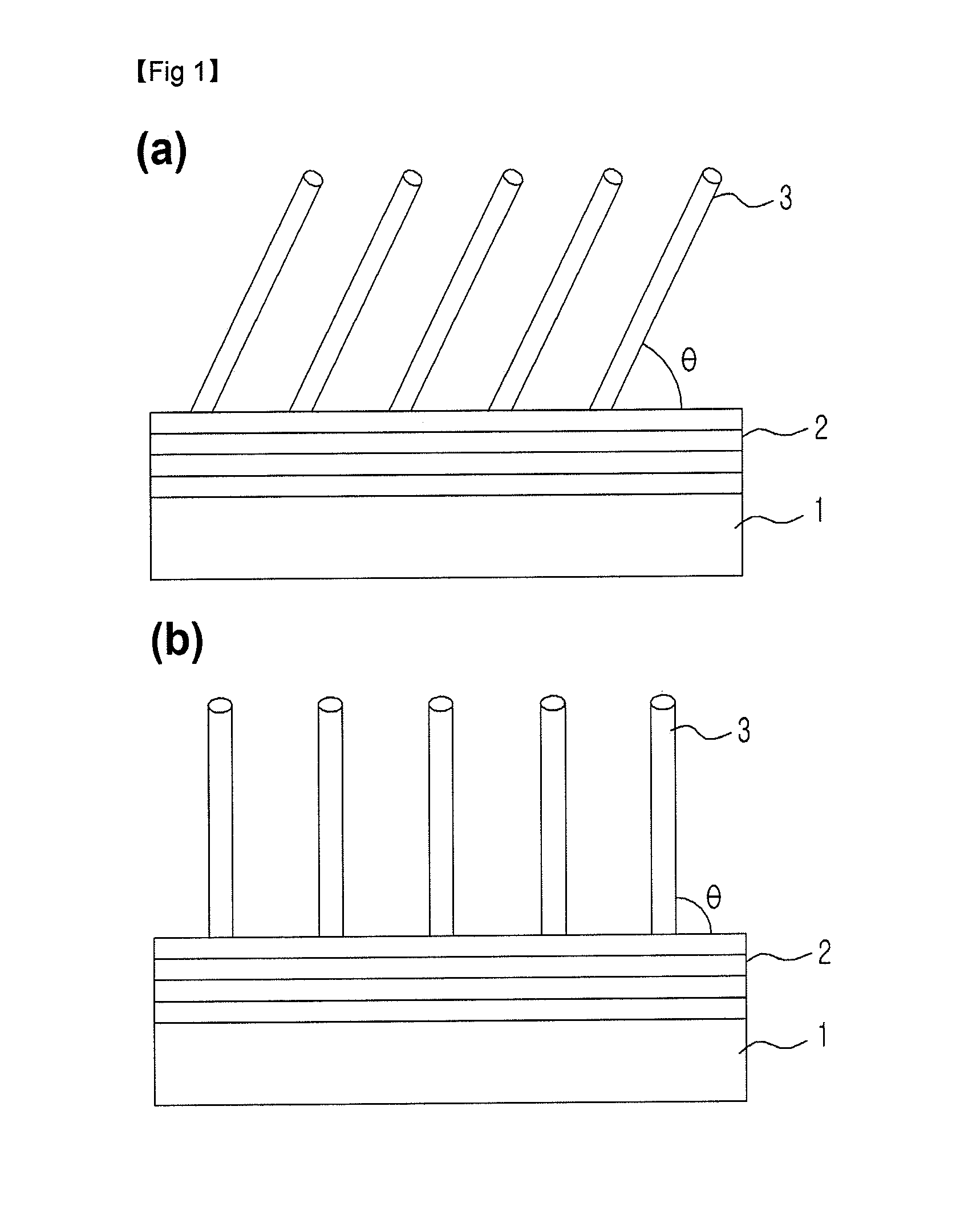Carbonaceous Nanocomposite Having Novel Structure And Fabrication Method Thereof