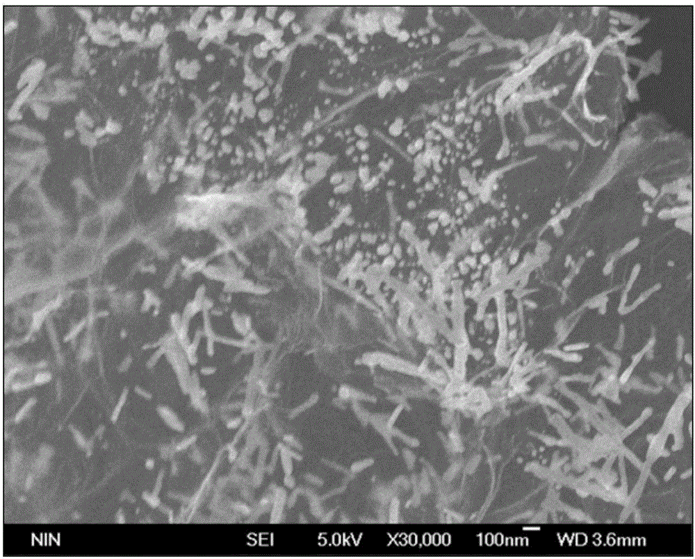 Preparation method and application of graphene-coated nano dysprosium oxide