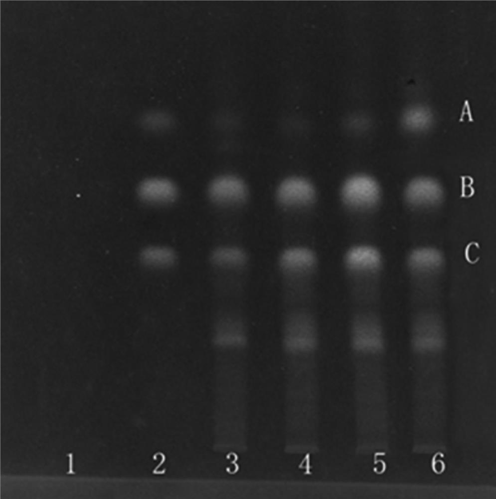 Quality detection method of Engelhardia roxburghiana wall dried leaves