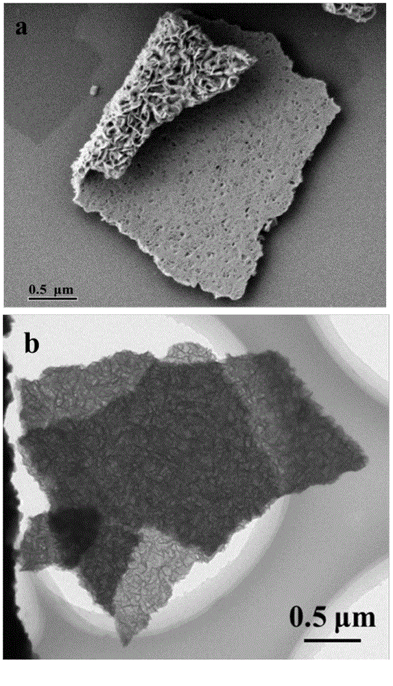 Method for preparing large-size layered orthorhombic MoS2 nano-film of asymmetric structure under hydrothermal condition