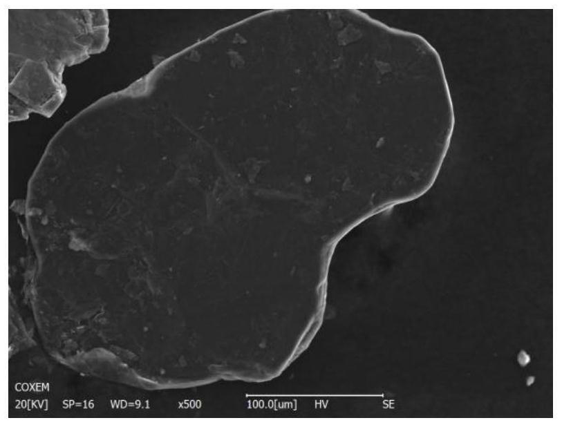 Graphite purification method and purification device