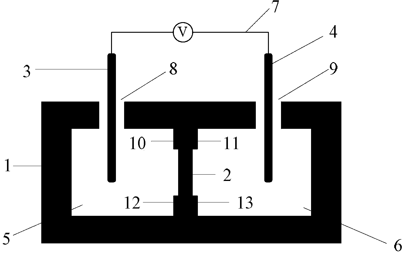 Nanofluidic diode device based on branched alumina nano channel film