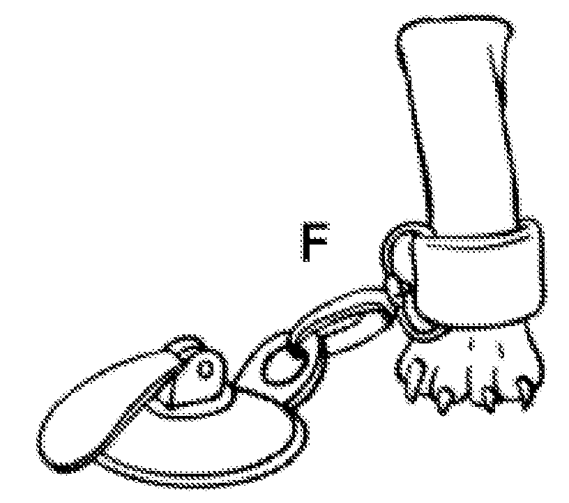 Pet Leg Restraining Device during Bathing, Grooming, Nail Clipping, and Exams