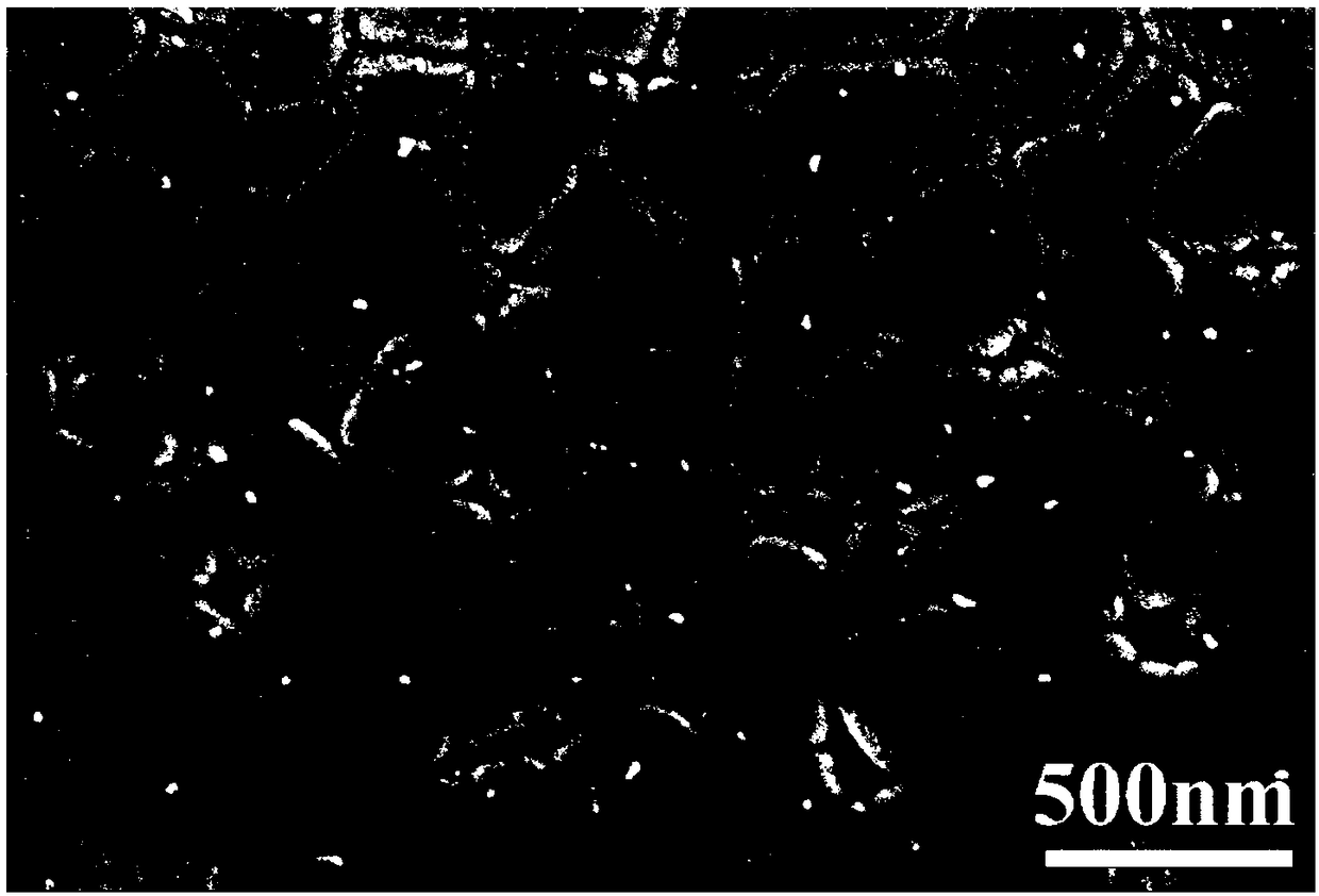 Preparation method of bioactive glass-wrapping modified zirconium oxide dental ceramic material